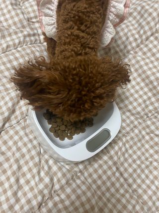 지은짱님이 올린 리뷰 사진 3