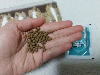 미야요님이 올린 리뷰 사진 1