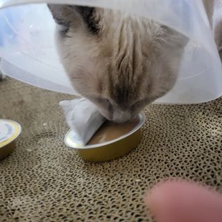김주사랑님이 올린 리뷰 사진 4