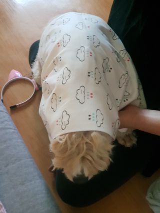 유성인성맘님이 올린 리뷰 사진 1