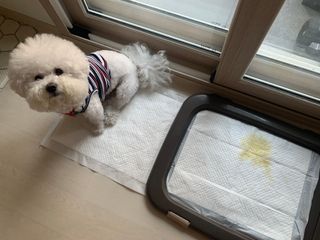 bae님이 올린 리뷰 사진 3