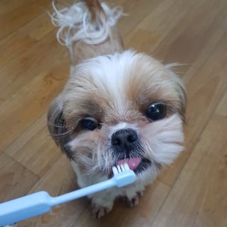 민준맘님이 올린 리뷰 사진 3