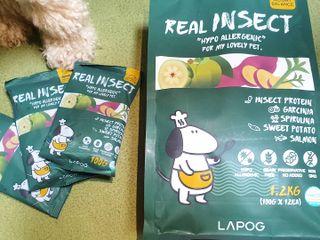 [푸디웜] 라포그  리얼인섹트 웨이트밸런스 저알러지 강아지 사료  1.2KG — 5점을 준 리뷰어가 2021년 7월 올린 사용 사진