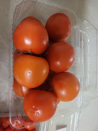 레드닥터 완숙토마토 + 통째로 동결건조한 대추방울토마토 — 5점을 준 리뷰어가 2022년 12월 올린 사용 사진