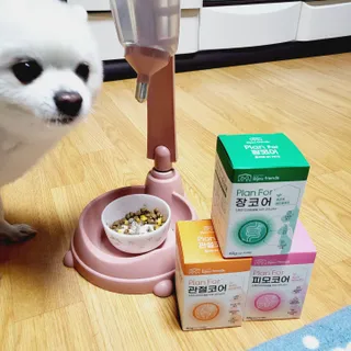 코코츄님이 올린 리뷰 사진 1