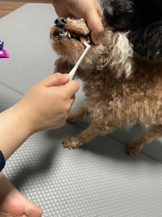 초코에몽님이 올린 리뷰 사진 3