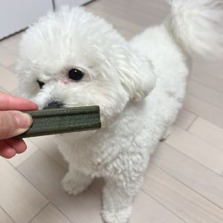 윰쏘님이 올린 리뷰 사진 3