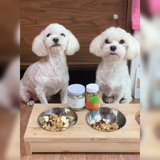 달콩리치님이 올린 리뷰 사진 1