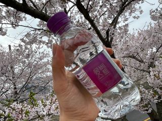 몽베스트 [MONTBEST] 330mL 20병 — 5점을 준 리뷰어가 2022년 4월 올린 사용 사진