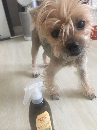 아라아빠님이 올린 리뷰 사진 4
