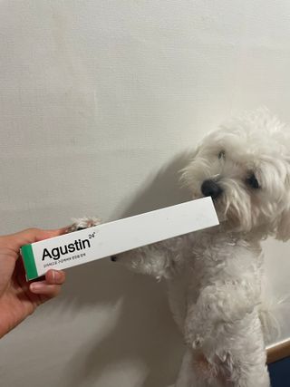 냥냥이님이 올린 리뷰 사진 1
