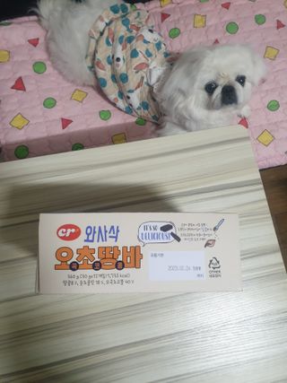 페키아름님이 올린 리뷰 사진 3