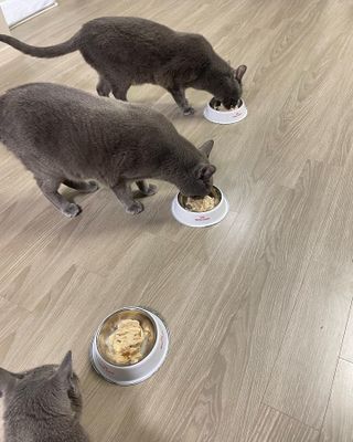 여온님이 올린 리뷰 사진 3