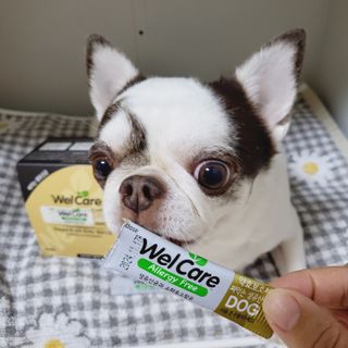 mini unni님이 올린 리뷰 사진 3