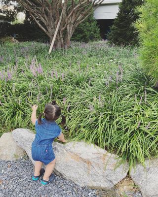 하뚱맘님이 올린 리뷰 사진 3