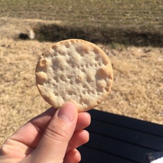 서윤이맘님이 올린 리뷰 사진 2