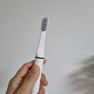 달코낭님이 올린 리뷰 사진 1