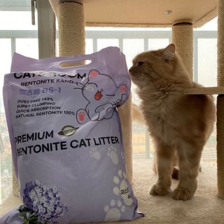 겟플렉스 켓플렉스 캣츠룸BS-1 고양이모래 4kg — 5점을 준 리뷰어가 2020년 12월 올린 사용 사진