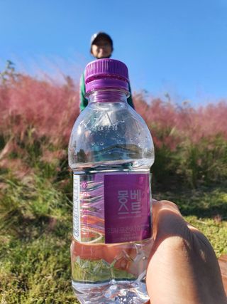 몽베스트 [MONTBEST] 330mL 20병 — 5점을 준 리뷰어가 2021년 10월 올린 사용 사진