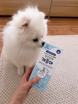 chocoamin님이 올린 리뷰 사진 2