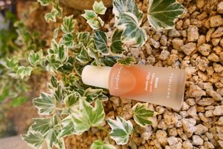 산다화 더블 이펙트 안티 링클 세럼 50ml — 5점을 준 리뷰어가 2022년 12월 올린 사용 사진
