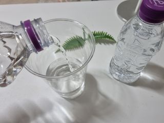 제이님이 올린 리뷰 사진 3
