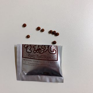 siesta님이 올린 리뷰 사진 3