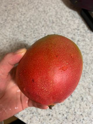 도로시님이 올린 리뷰 사진 3