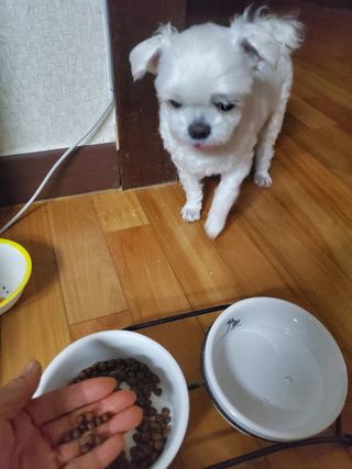 dazzle0818님이 올린 리뷰 사진 2