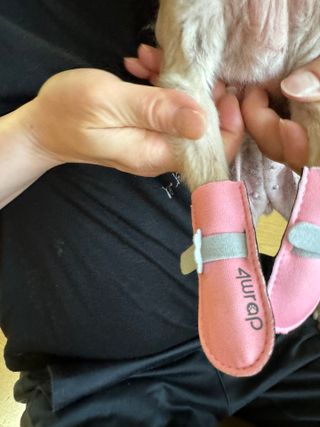다솜다빈이아빠님이 올린 리뷰 사진 4