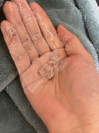 대바기님이 올린 리뷰 사진 1