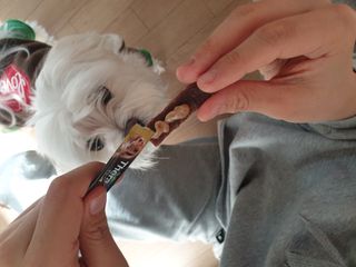 Zenithhappy님이 올린 리뷰 사진 3
