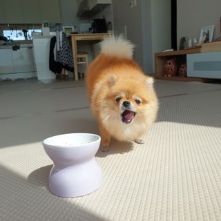 🌷 킴블리 🌷님이 올린 리뷰 사진 3