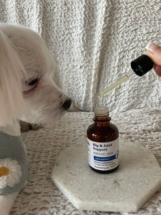 달콩리치님이 올린 리뷰 사진 2