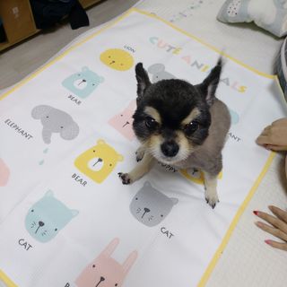 복도리님이 올린 리뷰 사진 3