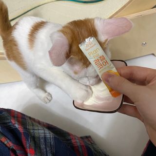 랴님이 올린 리뷰 사진 3