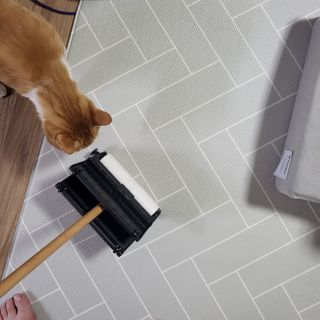 진진이님이 올린 리뷰 사진 1