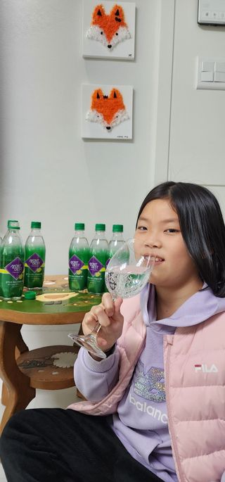 몽베스트 Montbest with Sparkling water Lemon OR Lime 20병(랜덤) — 5점을 준 리뷰어가 2022년 12월 올린 사용 사진