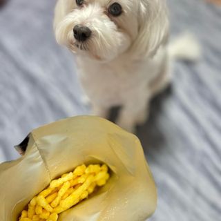 달콩리치님이 올린 리뷰 사진 4