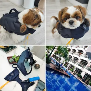 가루파랑님이 올린 리뷰 사진 3