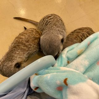 세지니힛님이 올린 리뷰 사진 1