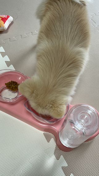제리님이 올린 리뷰 사진 3