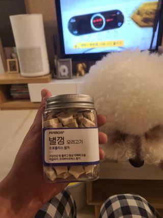 페페로니 자기전에 먹는 저알러지 껌 세트 치킨+오리 — 5점을 준 리뷰어가 2021년 7월 올린 사용 사진