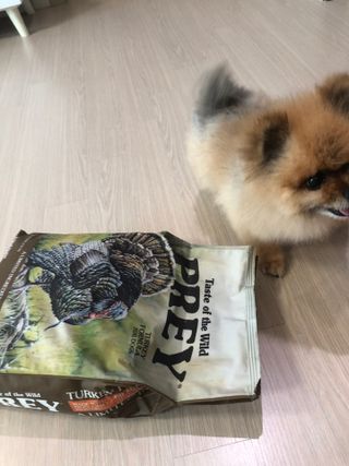 쭈야님이 올린 리뷰 사진 2