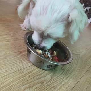 여늬님이 올린 리뷰 사진 2