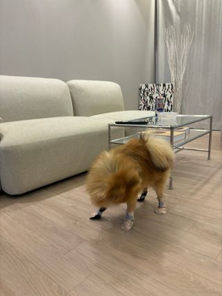 다영님이 올린 리뷰 사진 1
