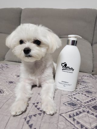 예민한 피부를 위한 코코몰리 All in one 자연유래 샴푸 — 5점을 준 리뷰어가 2021년 3월 올린 사용 사진