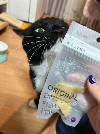춤추는꼬부기님이 올린 리뷰 사진 2