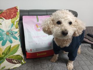 재간둥이님이 올린 리뷰 사진 1