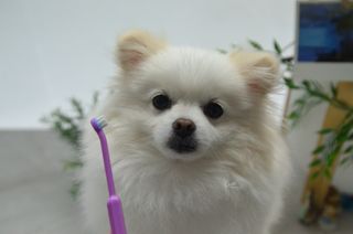 JAY님이 올린 리뷰 사진 1